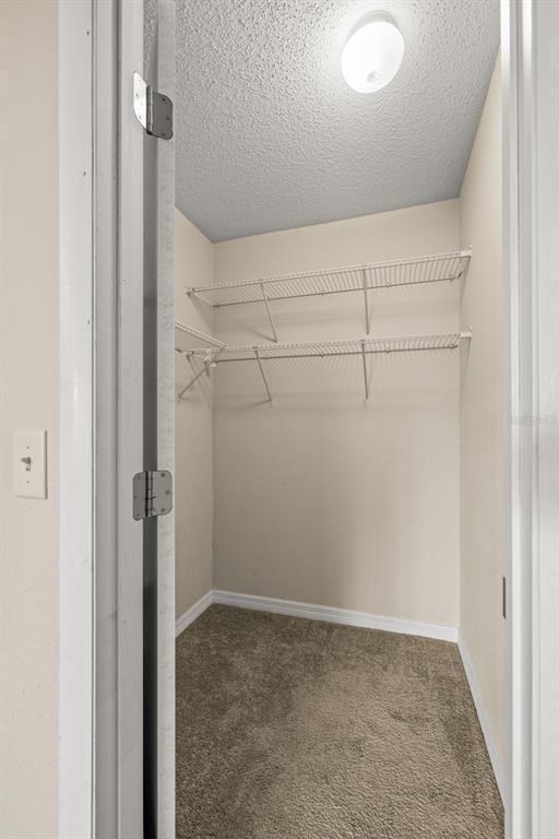 5100 Burchette Road, Unit 300 Tampa, FL 33647 - Photo 14 of 27 a view of an empty room