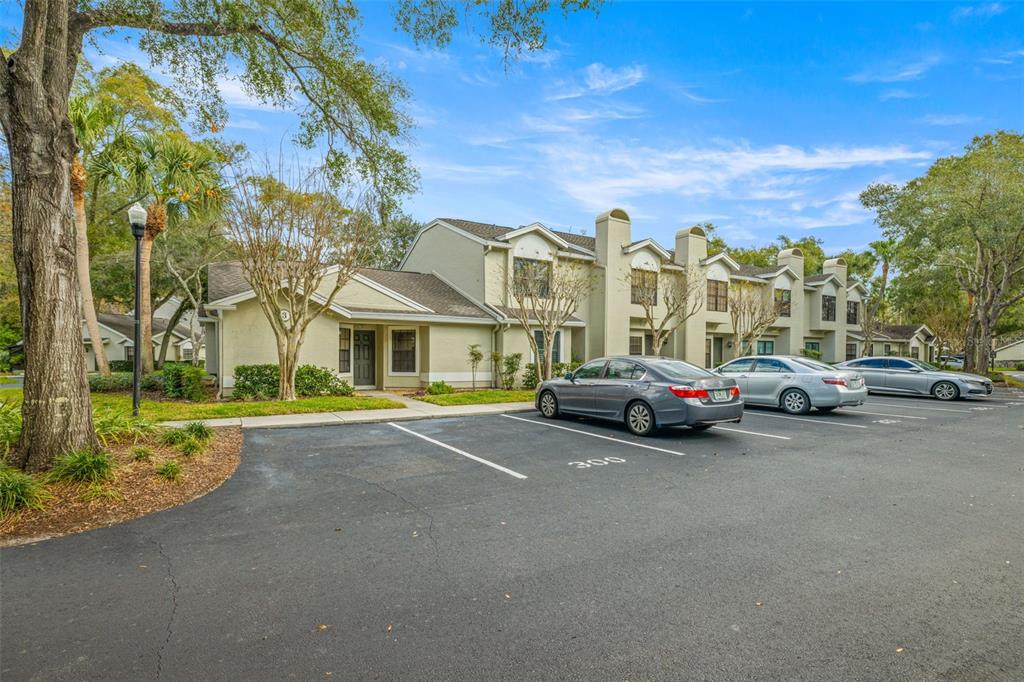 5100 Burchette Road, Unit 300 Tampa, FL 33647 - Photo 22 of 27 a view of a street