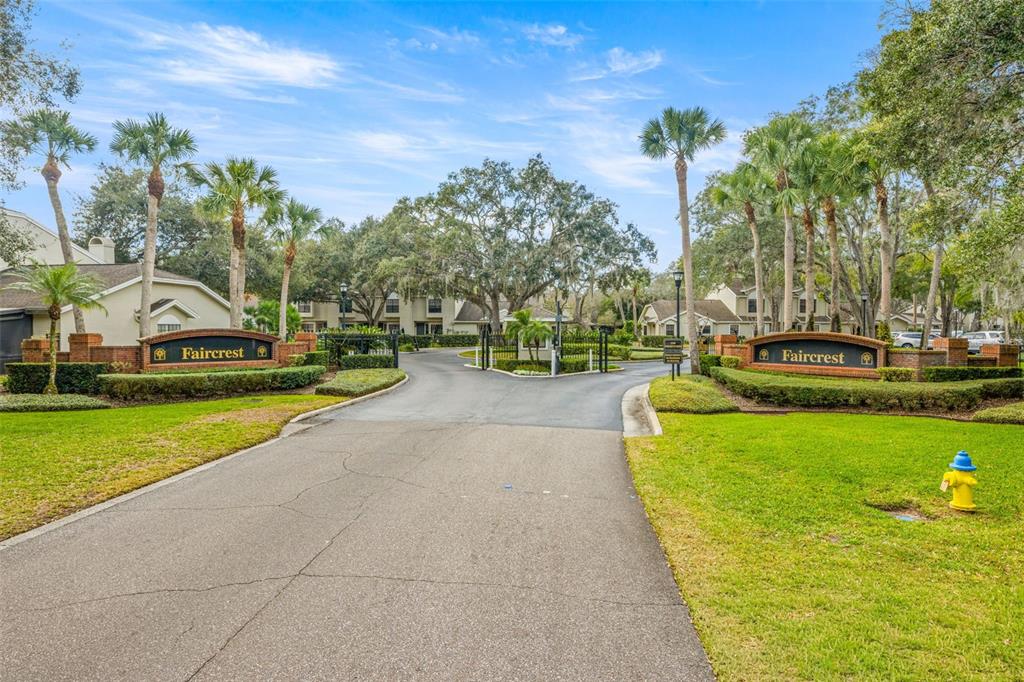 5100 Burchette Road, Unit 300 Tampa, FL 33647 - Photo 24 of 27 a view of a swimming pool with lawn chairs and plants