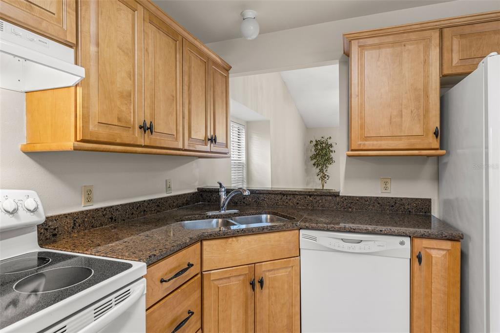 5100 Burchette Road, Unit 300 Tampa, FL 33647 - Photo 10 of 27 a kitchen with granite countertop a sink stove and cabinets