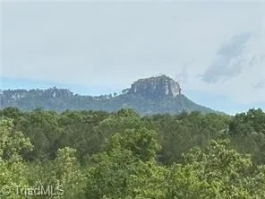 $322,000 | 0 Caudle Road, Pinnacle, NC 27043