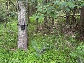 $385,000 | 0 Caudle Road, Pinnacle, NC 27043