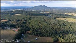 0 Caudle Road Pinnacle, NC 27043 - Photo 13 of 35