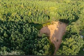 0 Caudle Road Pinnacle, NC 27043 - Photo 15 of 35