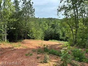 $322,000 | 0 Caudle Road, Pinnacle, NC 27043