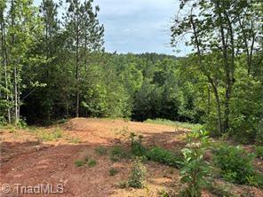 0 Caudle Road Pinnacle, NC 27043 - Photo 16 of 35