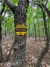 0 Caudle Road Pinnacle, NC 27043 - Photo 20 of 35