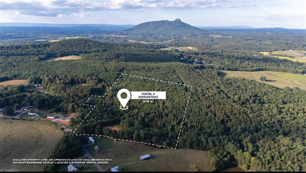 0 Caudle Road Pinnacle, NC 27043 - Photo 2 of 35