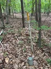 $385,000 | 0 Caudle Road, Pinnacle, NC 27043