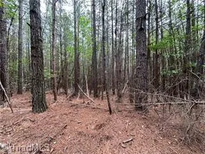 $322,000 | 0 Caudle Road, Pinnacle, NC 27043