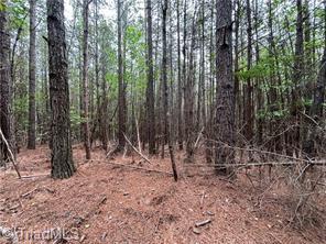 0 Caudle Road Pinnacle, NC 27043 - Photo 22 of 35