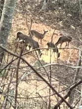 $385,000 | 0 Caudle Road, Pinnacle, NC 27043