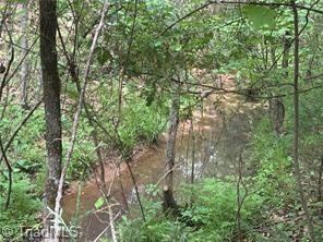 0 Caudle Road Pinnacle, NC 27043 - Photo 25 of 35