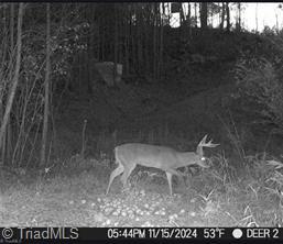 0 Caudle Road Pinnacle, NC 27043 - Photo 28 of 35