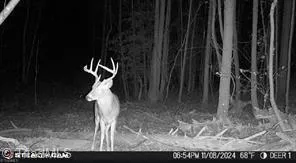 $385,000 | 0 Caudle Road, Pinnacle, NC 27043