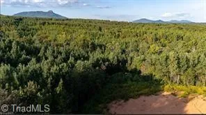 $322,000 | 0 Caudle Road, Pinnacle, NC 27043