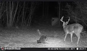 $385,000 | 0 Caudle Road, Pinnacle, NC 27043