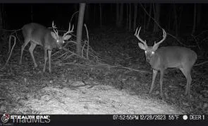 $385,000 | 0 Caudle Road, Pinnacle, NC 27043