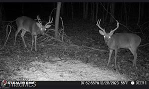 0 Caudle Road Pinnacle, NC 27043 - Photo 34 of 35