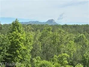 $322,000 | 0 Caudle Road, Pinnacle, NC 27043