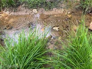 $385,000 | 0 Caudle Road, Pinnacle, NC 27043