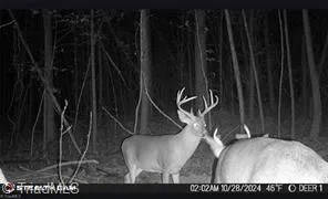 $322,000 | 0 Caudle Road, Pinnacle, NC 27043