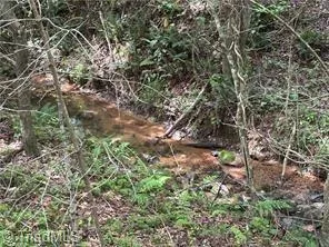 $385,000 | 0 Caudle Road, Pinnacle, NC 27043