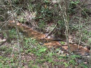 0 Caudle Road Pinnacle, NC 27043 - Photo 8 of 35