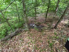 0 Caudle Road Pinnacle, NC 27043 - Photo 9 of 35