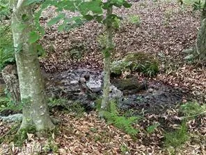 $385,000 | 0 Caudle Road, Pinnacle, NC 27043