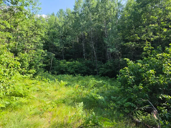 $55,000 | 4.62-acres Oak Ridge Road, Amberg, WI 54102