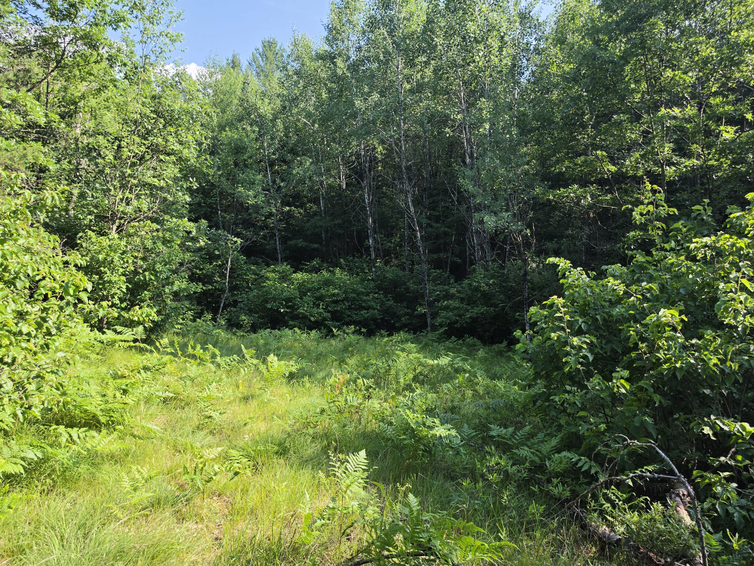 4.62-acres Oak Ridge Road Amberg, WI 54102 - Photo 1 of 7 095a0305-3de2-49c4-8e6b-56ba677fc181-1_a