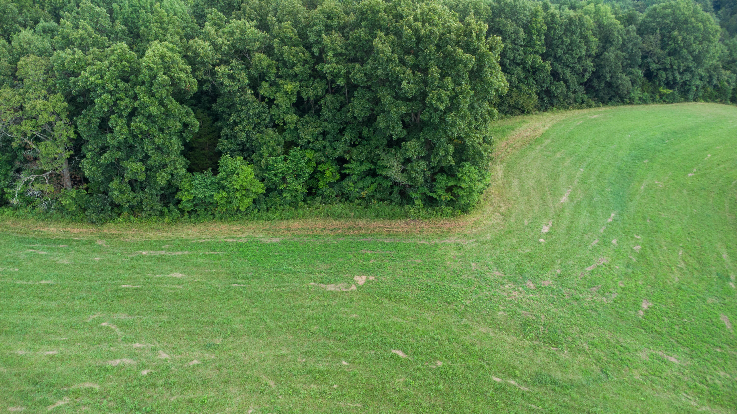 4095 Warsaw Road Dry Ridge, KY 41035 - Photo 22 of 48