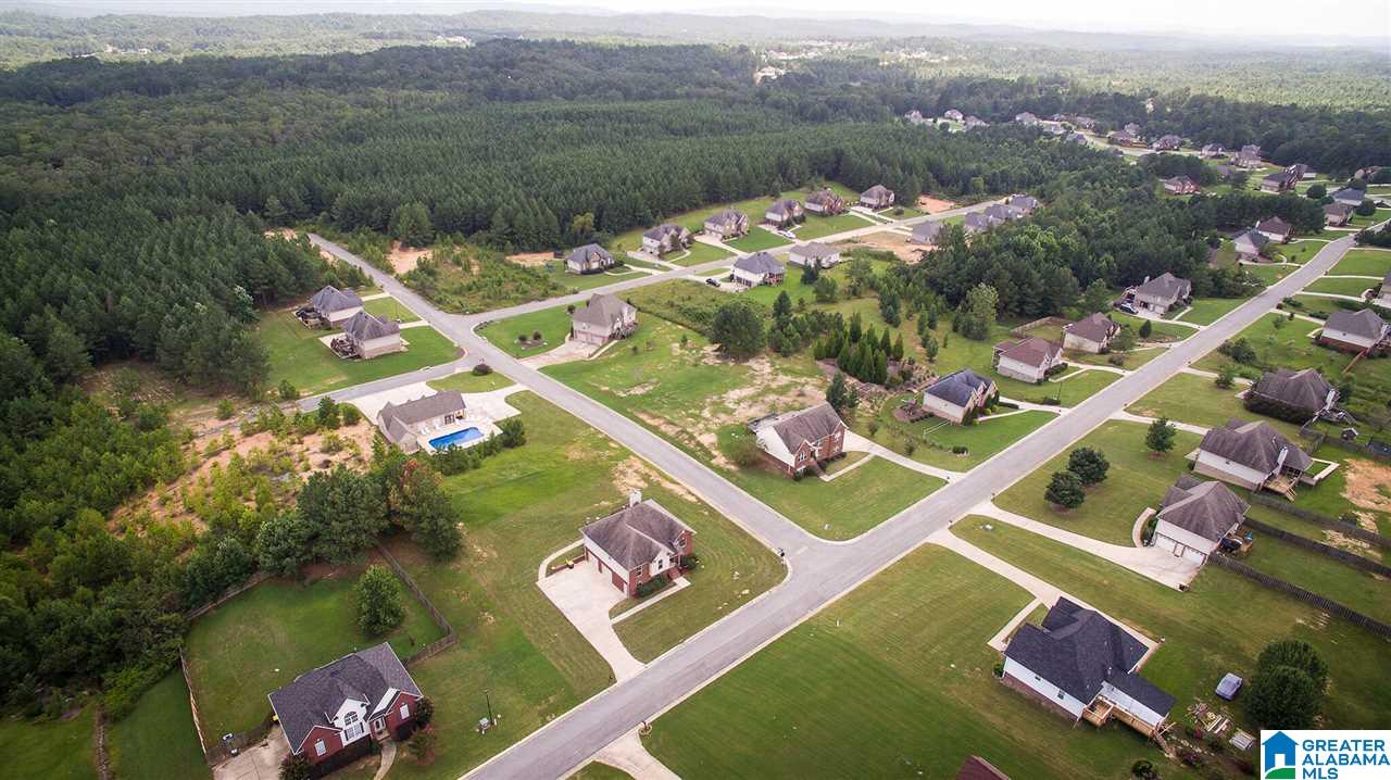 675 Ridgefield Way Odenville, AL 35120 - Photo 40 of 42