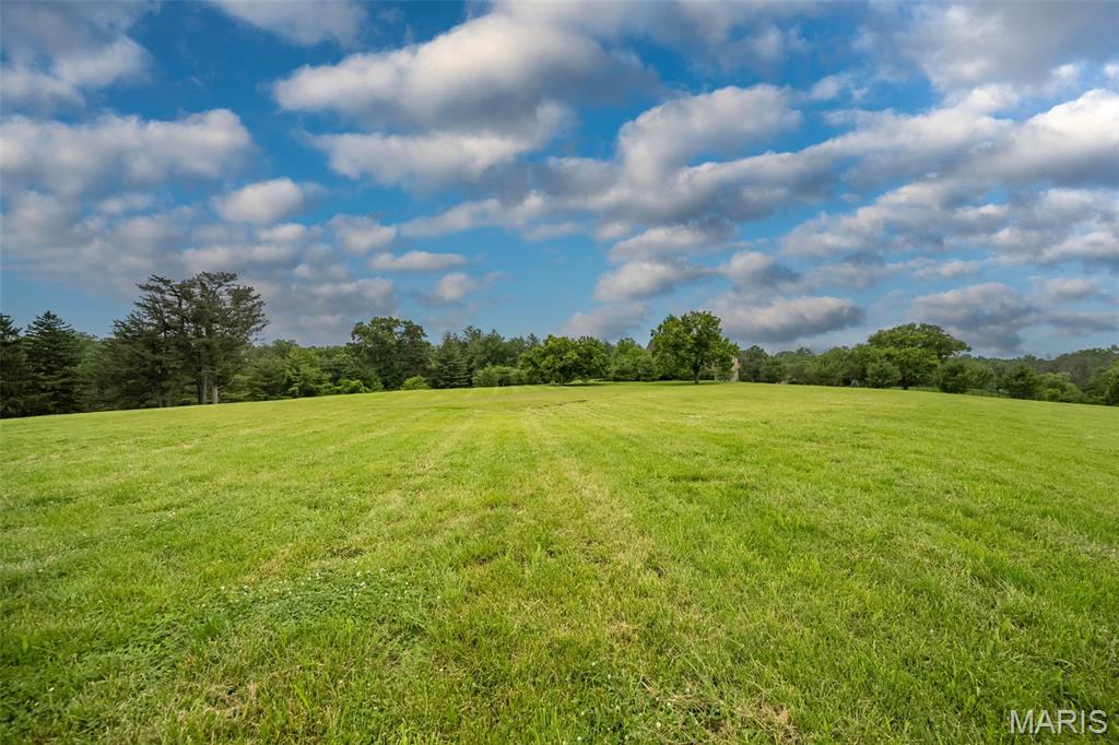 9 Bridle Ridge Lane St. Louis, MO 63131 - Photo 6 of 9