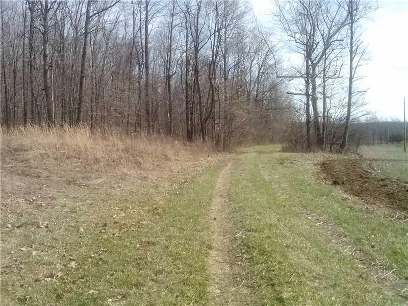 0 Mount Olive Road Vincennes, IN 47591 - Photo 7 of 9