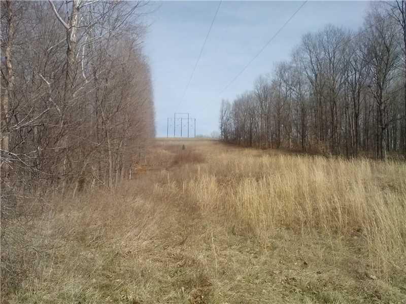 0 Mount Olive Road Vincennes, IN 47591 - Photo 8 of 9