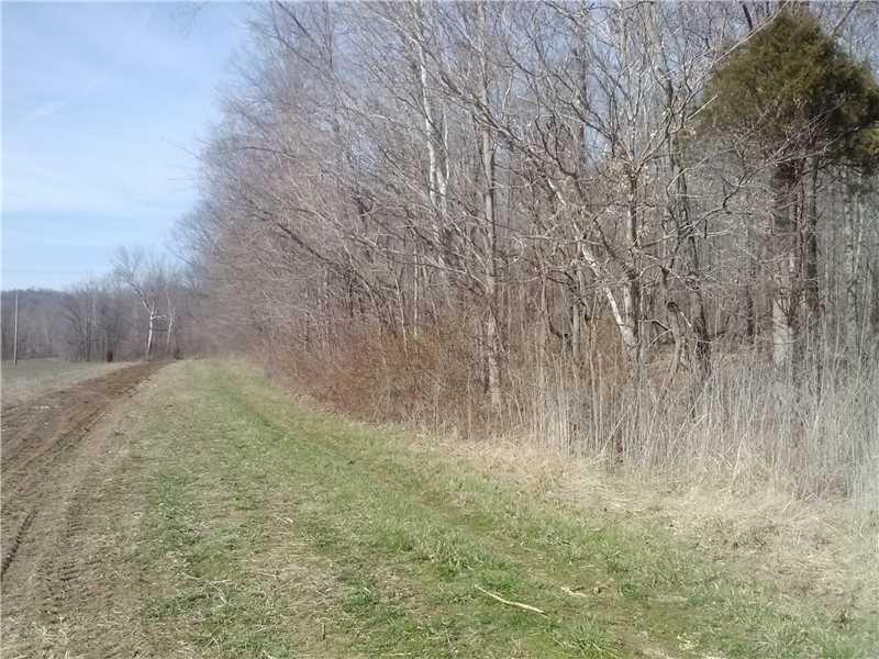 0 Mount Olive Road Vincennes, IN 47591 - Photo 9 of 9