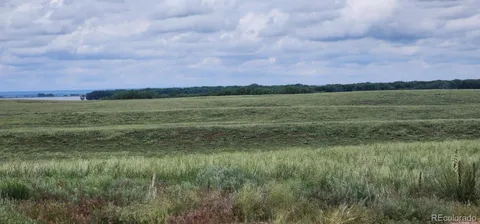 a view of a lush green field
