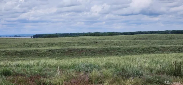 a view of a lush green field