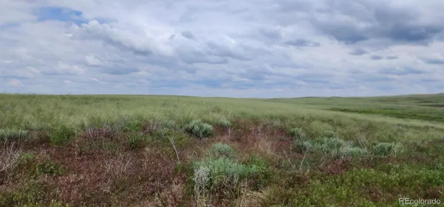 a view of a big yard with a house in the background