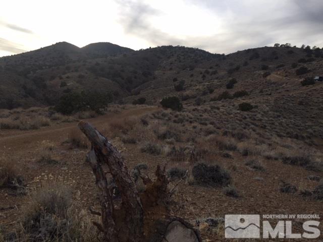 0 Six Mile Canyon Road Dayton, NV 89403 - Photo 5 of 6 a view of a forest with mountains in the background