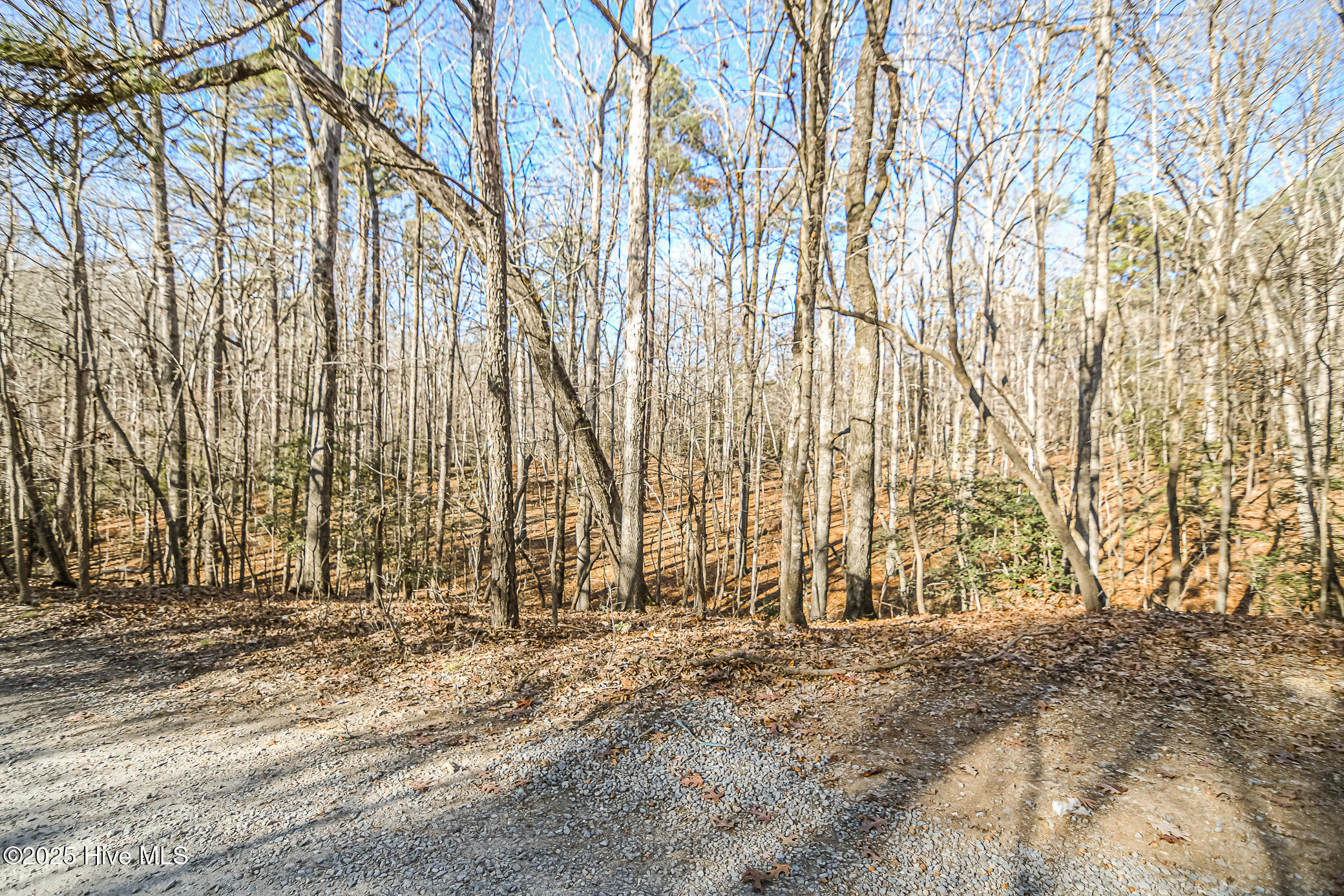 23 Equestrian Lane Carthage, NC 28327 - Photo 5 of 10 ©2025 Coterie Exchange LLC. All Rights R