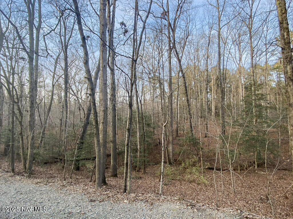 23 Equestrian Lane Carthage, NC 28327 - Photo 6 of 10 lot23cev