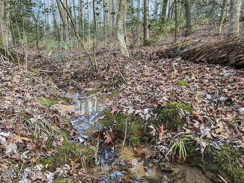 23 Equestrian Lane Carthage, NC 28327 - Photo 7 of 10 creeklot23