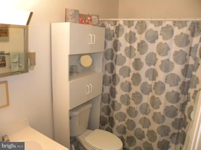 a bathroom with a toilet and a shower curtain