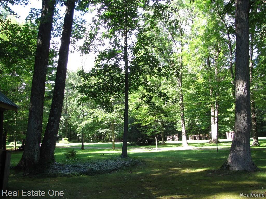 12301 Shaffer Road Davisburg, MI 48350 - Photo 21 of 22 IMG_3975.JPG