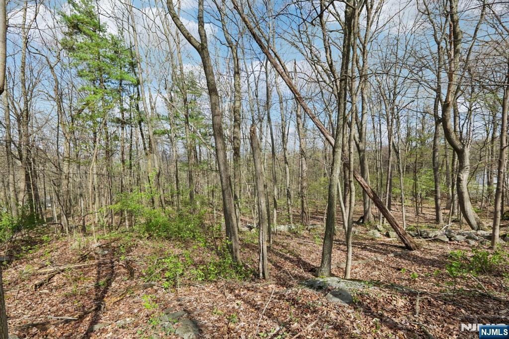 11 Alamoosook Road Vernon, NJ 07422 - Photo 5 of 47 Gallery Image 5