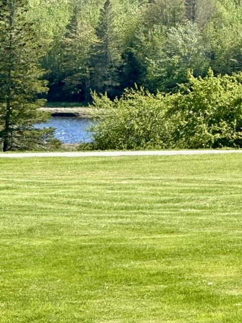 168 Kansas Road Milbridge, ME 04658 - Photo 31 of 32 IMG_5437
