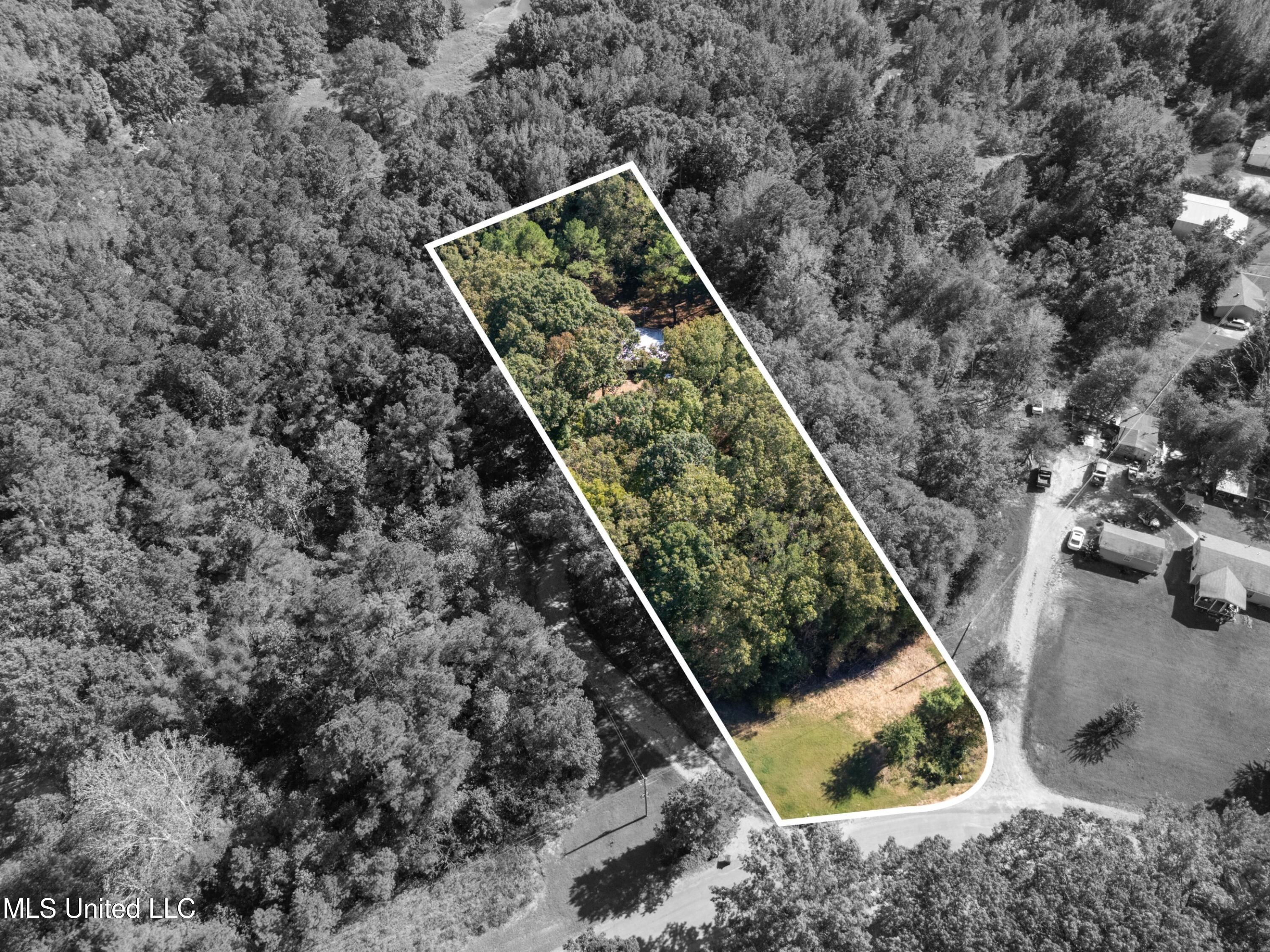 62 Carlisle Road Sarah, MS 38665 - Photo 27 of 27 27_lot lines